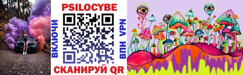 Галлюциногенные грибы мицелий где купить Камбарка